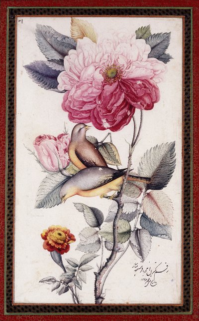 Gul-o Bulbul、c。 1849-50（紙に水彩） 作： Muhammad Baqir