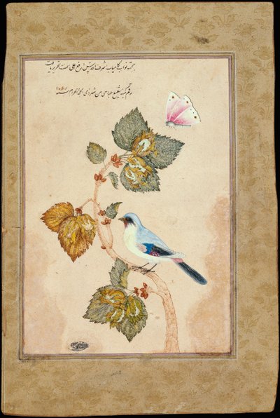 ハシバミの枝にとまる鳥 作： Muhammad Shafi Abbasi