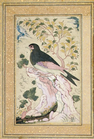 岩の上に止まった鳥、1684 作： Muin Musavvir