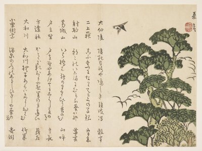 大きな木と鳥、c.1830-44（色木版画） 作： Murata Kagen