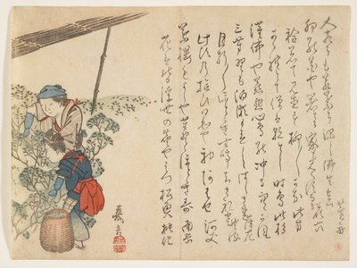 茶摘み機、1830〜44年頃（カラー木版印刷） 作： Murata Kagen