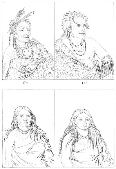 ポーニー、1841年。 作： Myers and Co