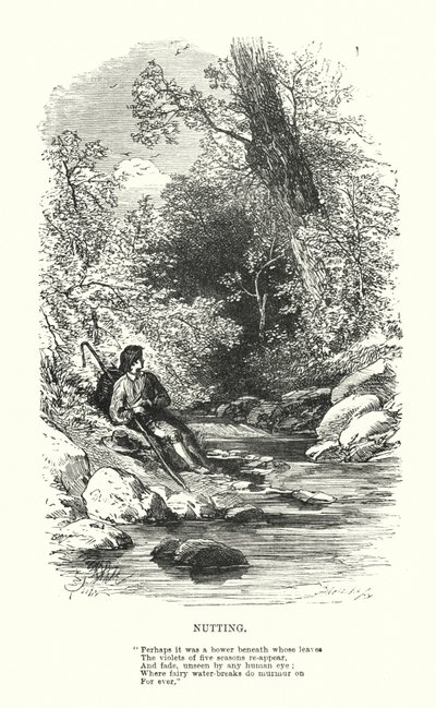ウィリアム・ワーズワース：ナッティング（彫刻 作： Myles Birket (after) Foster