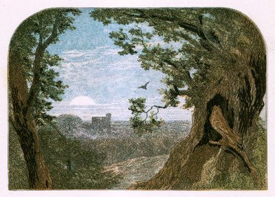「鳥」のイラスト 作： Myles Birket Foster