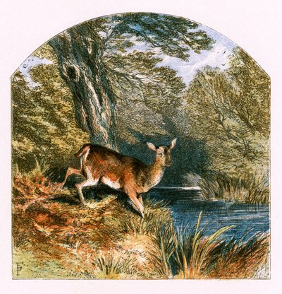 「監禁」のイラスト 作： Myles Birket Foster