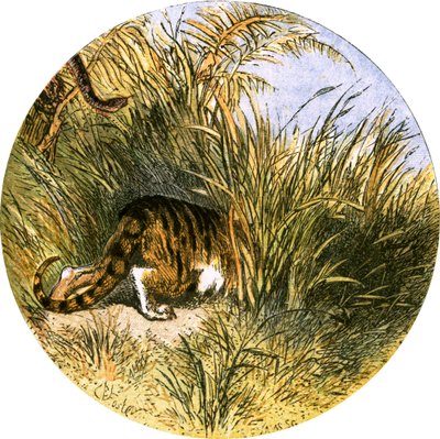 「人けのない村」のイラスト 作： Myles Birket Foster