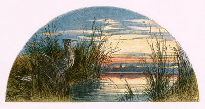 「人けのない村」のイラスト 作： Myles Birket Foster
