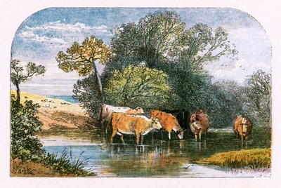 「人けのない村」のイラスト 作： Myles Birket Foster