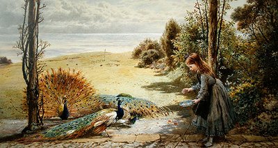 孔雀（水彩・紙 作： Myles Birket Foster