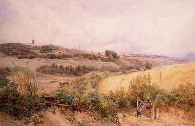 サリー州ハズレミア近郊の夏の風景 作： Myles Birket Foster