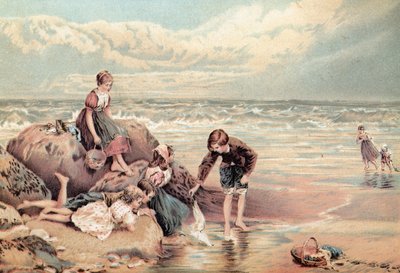死海の鳥 作： Myles Birket Foster