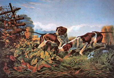アメリカのフィールドスポーツポイントについて 作： Currier and Ives