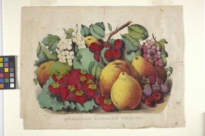アメリカンサマーフルーツ（手描きリトグラフ） 作： N. and Ives J.M. (1824 95) Currier