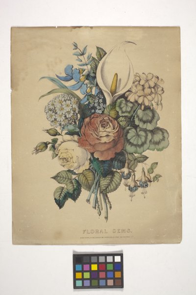 Gemas florais (litografia colorida à mão) 作： N. and Ives J.M. (1824 95) Currier