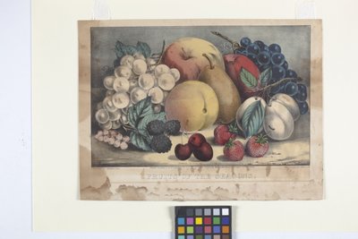 季節の果物 (手描きのリトグラフ) 作： N. and Ives J.M. (1824 95) Currier