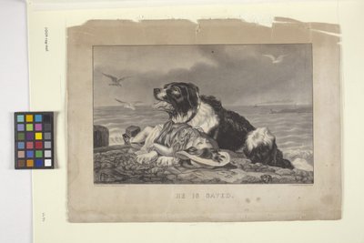 彼は救われた（手描きのリトグラフ） 作： N. and Ives J.M. (1824 95) Currier