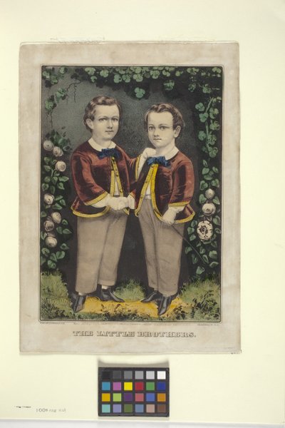 リトルブラザーズ（手描きリトグラフ） 作： N. and Ives J.M. (1824 95) Currier