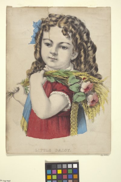 Little Daisy (käsinvärinen litografia) 作： N. and Ives J.M. (1824 95) Currier