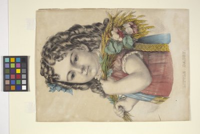 リトルデイジー（手描きリトグラフ） 作： N. and Ives J.M. (1824 95) Currier