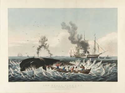 The Whale Fishery:Attacking a Sperm Whale....and 