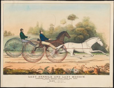 &39;Lady Suffolk&39; and &39;Lady Moscow&39;、Hunting Park Course、Philadelphia、6thth、1850（hand-coloured litho） 作： N. and Ives, J.M. Currier
