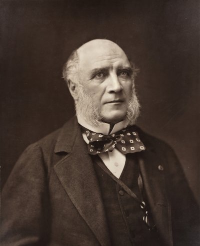Élie-Louis、公爵 Decazes フランスの政治家および外交官、1819-1886 年、c. 185377. 作： Nadar