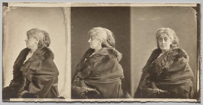 毛皮のストールを身に着けている芸術家の妻アーネスティン・ナダールの肖像 作： Nadar