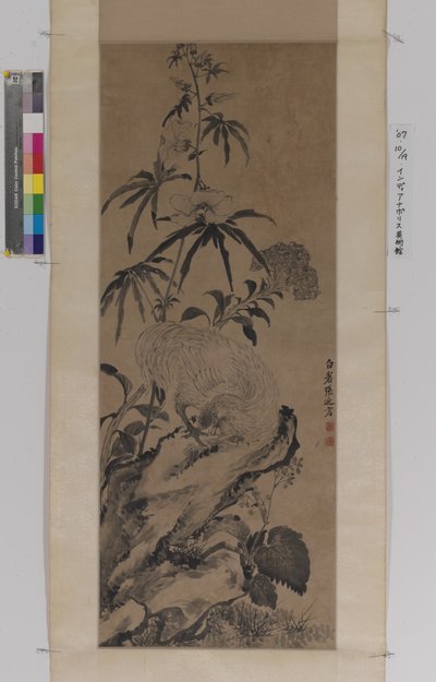 Galo na rocha, entre flores (tinta sobre papel) 作： Naiqi Zhang