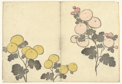 様式化された黄色とピンクの花 光琳の画集（連載タイトル） 光琳がうう（連載タイトル） 作： Nakamura Hochu