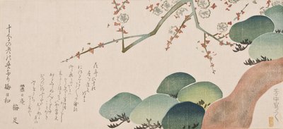 パインツリーとプラムブロッサム、1810-30（カラー木版印刷） 作： Nakamura Hochu