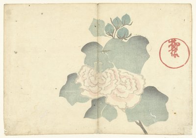 牡丹 光琳の画集（連載タイトル） 光琳画譜 作： Nakamura Hochu