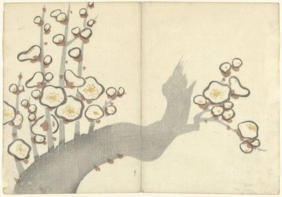 梅の花 光琳の画集（連載タイトル） 光琳がうう（連載タイトル） 作： Nakamura Hochu