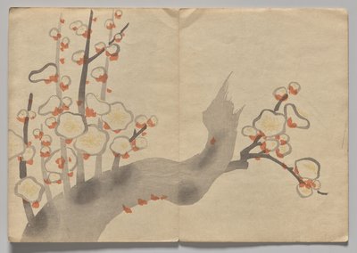 光琳絵本（下巻）の一場面 作： Nakamura Hochu