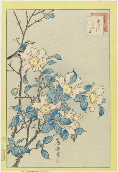 青い鳥とピンクの花、1859（カラー木版印刷） 作： Nakayama Sugakudo