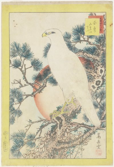 No. 1、ホワイトファルコンと5針マツ、1859年（カラー木版印刷） 作： Nakayama Sugakudo
