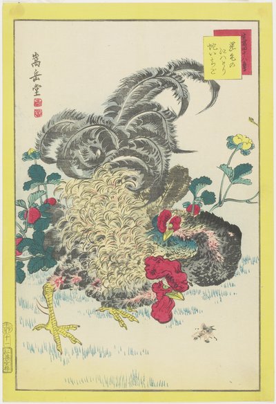 雄鶏とラズベリー、1859年6月（色木版画） 作： Nakayama Sugakudo