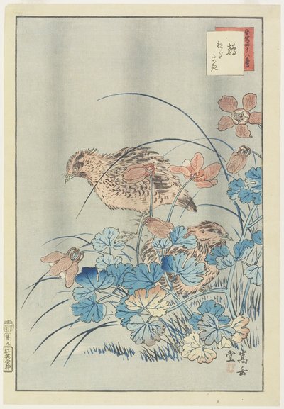 ブッシュの2羽のウズラ、1859（色木版画） 作： Nakayama Sugakudo
