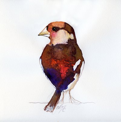 Blushing Hawfinch, 2017年 作： Nancy Moniz Charalambous