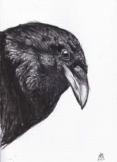 カラスかカラスか、2020年 作： Nancy Moniz Charalambous