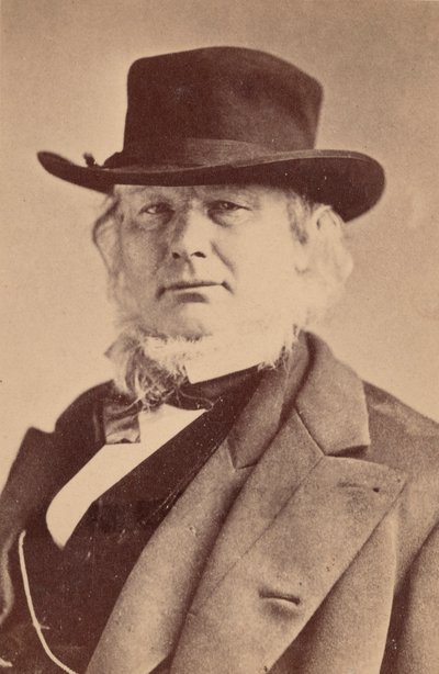 ホレス・グリーリーの肖像、1811～1872年、1869年。 作： Napoleon Sarony