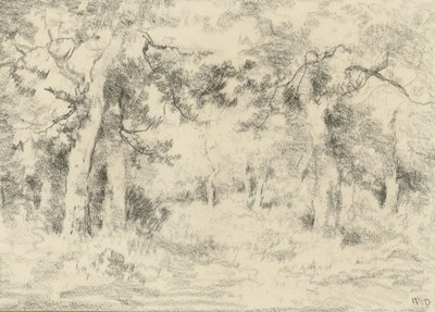夏の森の景色 作： Narcisse Virgile Diaz de la Peña