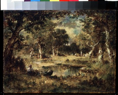 「森の風景」（森の沼地） ナルシス・ヴァージレ・ディアス・デ・ラ・ペーニャ（1807-1876）作 1870年 プーシキン美術館、モスクワ 作： Narcisse Virgile Diaz de la Peña