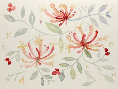 繊細な水彩画の植物画 作： Natalie Bruns