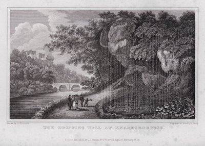 KnaresboroughのDropping Well (Engraving) 作： Nathaniel (after) Whittock