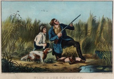 野生の鴨の射撃 作： Nathaniel Currier