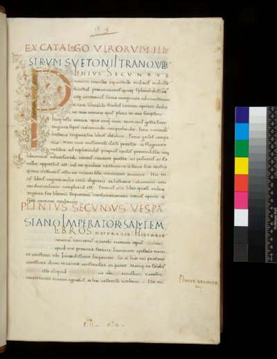 Ms.394.1長老プリニウス『自然史』f.1r.イルミネーションを施したイニシャル[P]と白いブドウの茎の装飾（未完成） ナポリ 15世紀中頃 1442年頃 羊皮紙 作： Neapolitan School