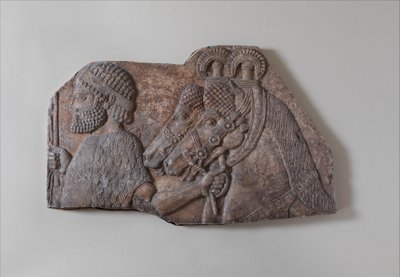 支流の列にある外国の新郎、紀元前721-05年（石膏アラバスター） 作： Neo Assyrian Neo Assyrian