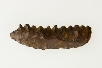 二刀流の鎌、紀元前4500～4000年頃（フリント 作： Neolithic Neolithic