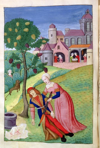 Ms 324 f.44 v。Alcithoe、Pyramus、Thisbe、マルベリーの木の色が変わる、OvidによるMetamorphoses、1479 作： Netherlandish School