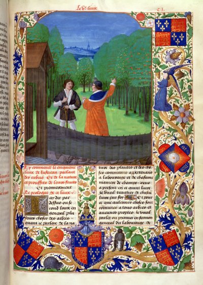 Roy 14 E VI f.110 ブルージュのエドワード 4 世のために制作された「Rustican du cultivement des terres」より、果樹園の庭師に著者が語る 作： Netherlandish School
